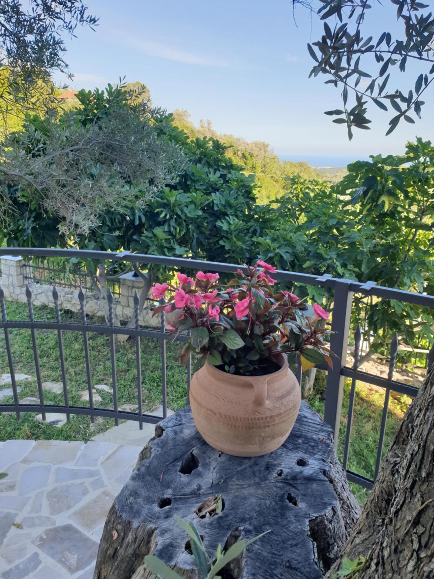Rustic Villas Barlovic Ulcinj Esterno foto